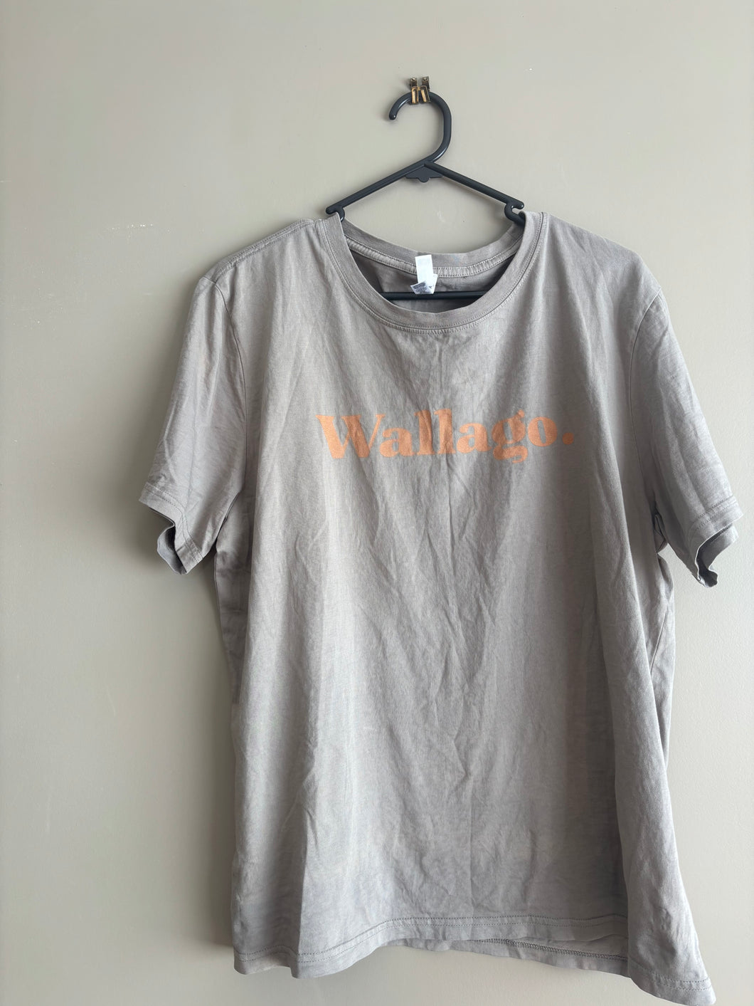 Wallago Graphic Tee (XL)