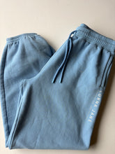 Load image into Gallery viewer, Lorna Jane Blue Joggers (XXL) *FLAW*
